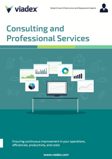 Consultancy and Professional Services