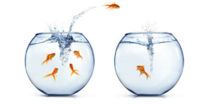 Cerner-Migration-Blog-image